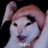 Solitaryzl